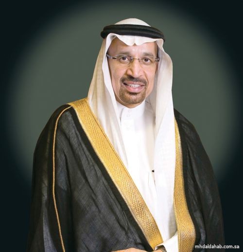 وزير الاستثمار يرأس وفدًا رفيع المستوى في زيارة رسمية إلى الهند