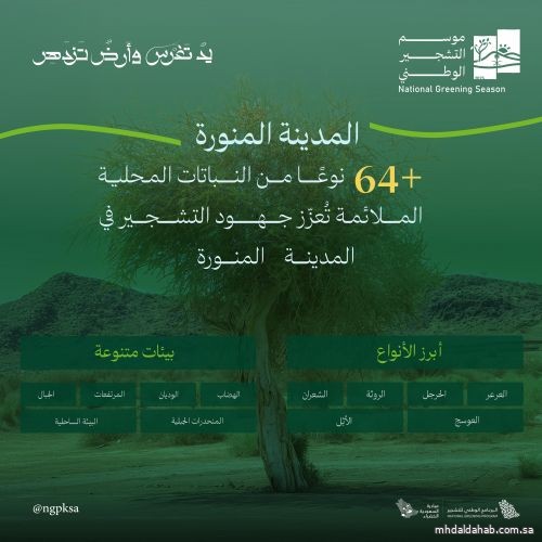 60 نوعًا من النباتات المحلية تزدهر في بيئات المدينة المنورة 60 نوعًا من النباتات المحلية تزدهر في بيئات المدينة المنورة