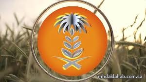 الهيئة العامة للأمن الغذائي تطرح المناقصة السادسة لهذا العام لاستيراد 300 ألف طن قمح