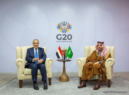 فيصل بن فرحان ووزير خارجية مصر يبحثان التطورات الإقليمية والدولية