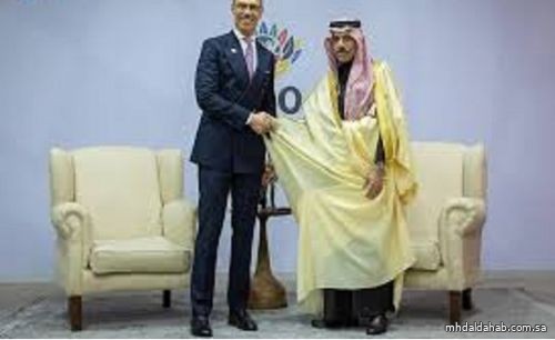 وزير الخارجية يلتقي رئيس فنلندا على هامش قمة العشرين