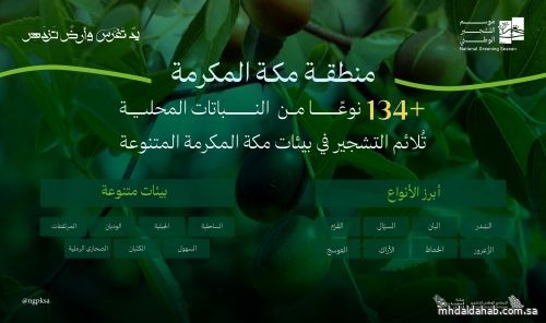 تنوع بيئي فريد يُسهم في انتشار 134 نوع من النباتات المحلية الملائمة للتشجير في مكة المكرمة