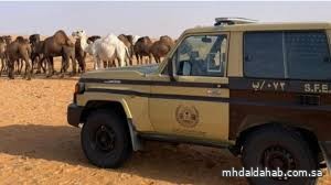 ضبط مواطنًا مخالفًا لنظام البيئة لارتكابه مخالفة رعي في محمية الإمام تركي بن عبدالله الملكية ضبط مواطنًا مخالفًا لنظام البيئة لارتكابه مخالفة رعي في محمية الإمام تركي بن عبدالله الملكية