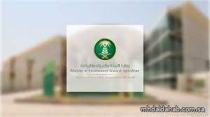 "البيئة" تشدد على حماية الرقعة الخضراء ومنع العبور العشوائي للمناطق البرية والمحمية "البيئة" تشدد على حماية الرقعة الخضراء ومنع العبور العشوائي للمناطق البرية والمحمية