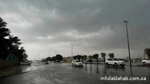 الأرصاد: هطول أمطار رعدية مصحوبة بزخات من البرد على هذه المناطق
