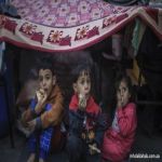 الأمم المتحدة: عدد النازحين في غزة بلغ 1,9 مليون شخص
